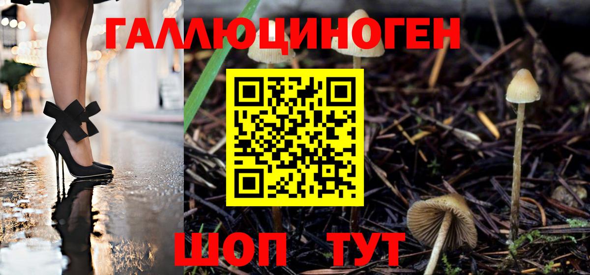 Галлюциногенные грибы ЛСД Тулун